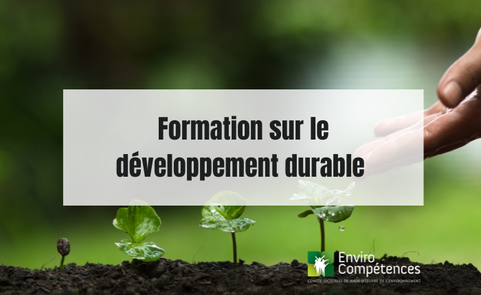Formation sur le développement durable